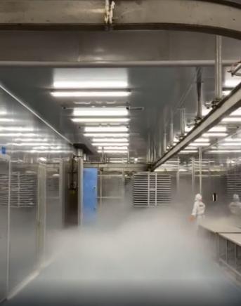 探秘國產寵物凍干工廠 親身探訪，揭開品質與代工的秘密